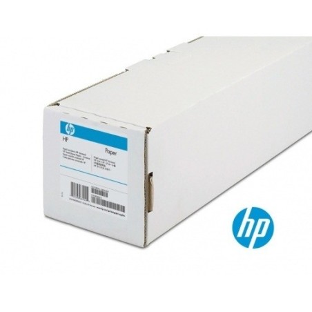 Hewlett-Packard | CANVAS MATE ARTISTICO - PraxiStore | 130 $ - 0848412014785